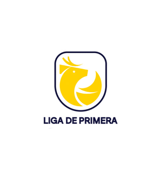 Liga de Primera