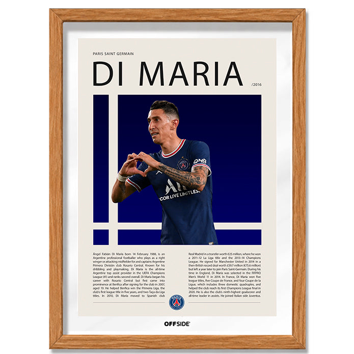 Angel Di Maria "Fideo" en PSG Temporada 2016