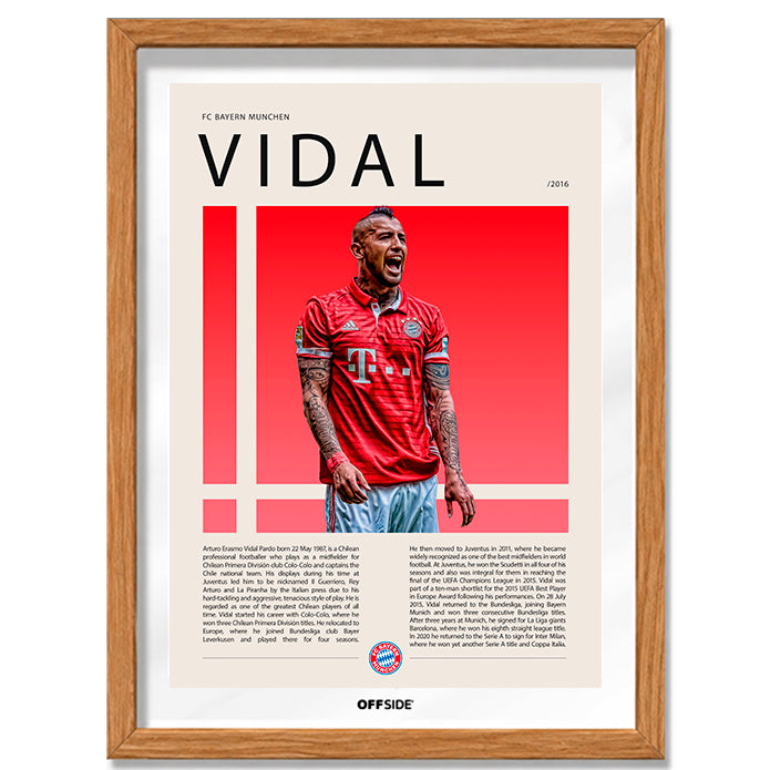 Arturo Vidal "El King" Bayern Munich Gol vs Schalke 04