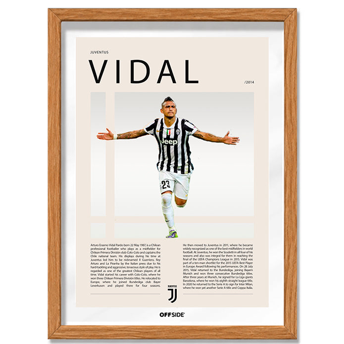Arturo Vidal "El King"Gol vs Sampdoria Título 31 Juventus