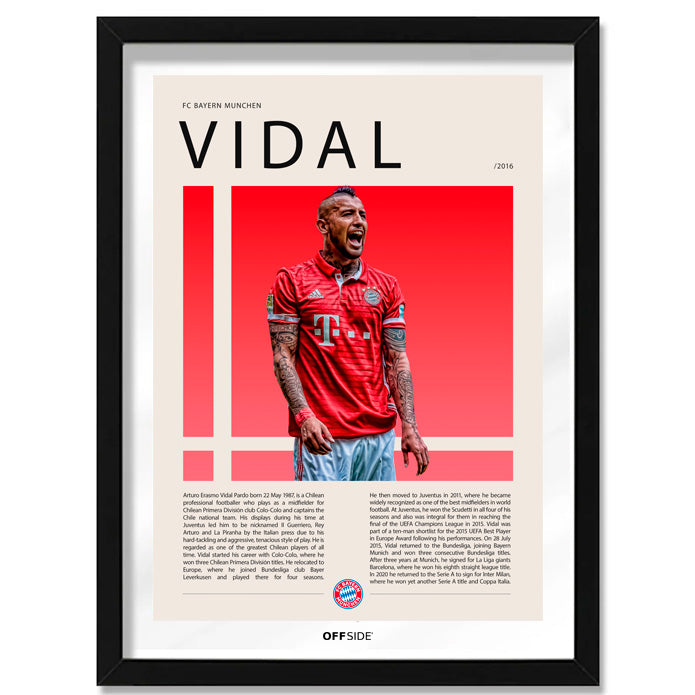Arturo Vidal "El King" Bayern Munich Gol vs Schalke 04
