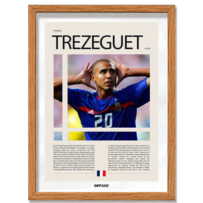 David Trezeguet "Trezegol" en Francia Clasificatorias 2006