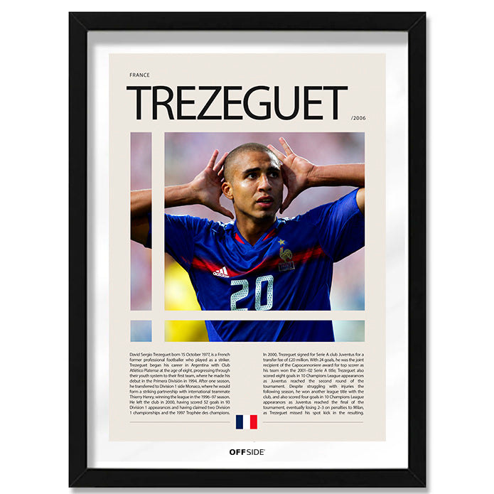 David Trezeguet "Trezegol" en Francia Clasificatorias 2006
