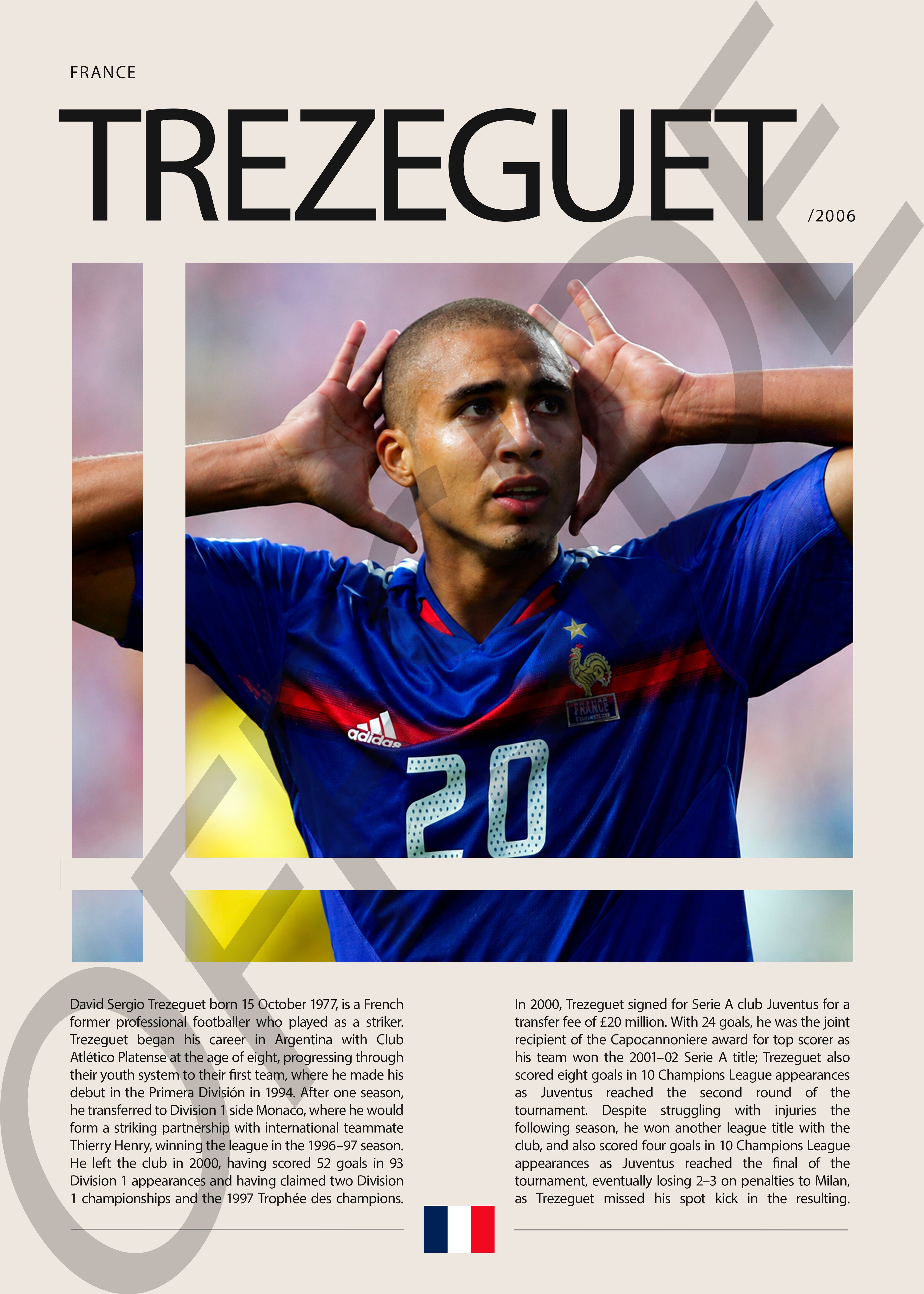 David Trezeguet "Trezegol" en Francia Clasificatorias 2006