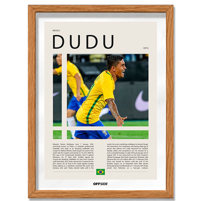 Eduardo Pereira Rodriguez "Dudu" en Brasil Clasificatorias 2014