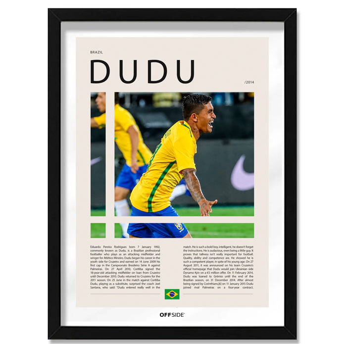 Eduardo Pereira Rodriguez "Dudu" en Brasil Clasificatorias 2014