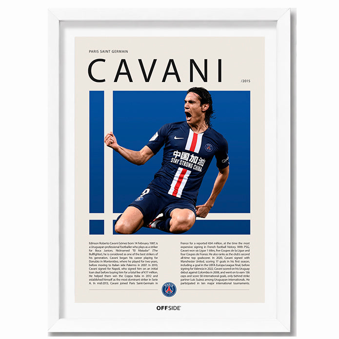 Edinson Cavani "El Matador" en PSG Temporada 2015