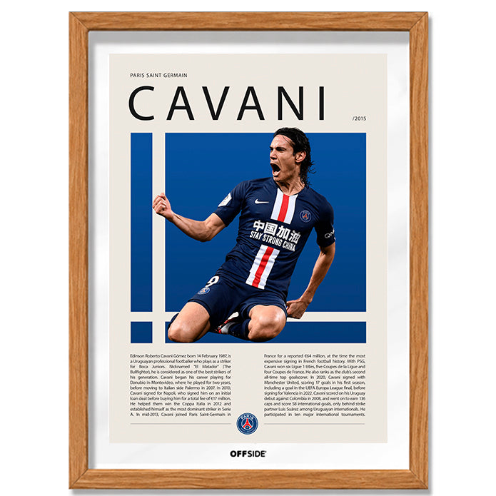 Edinson Cavani "El Matador" en PSG Temporada 2015