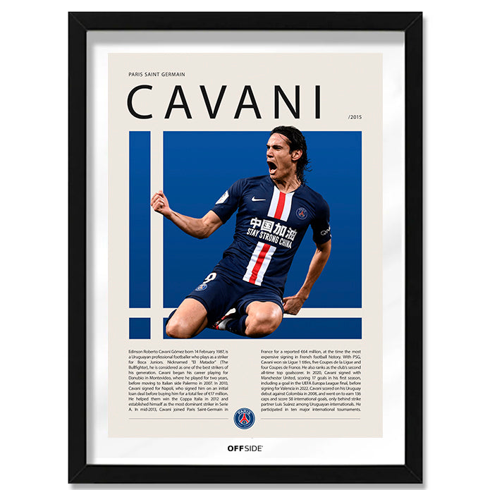 Edinson Cavani "El Matador" en PSG Temporada 2015