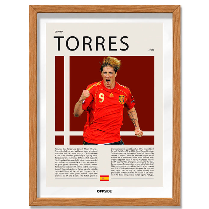 Fernando Torres "El Niño" en España Clasificatorias 2010