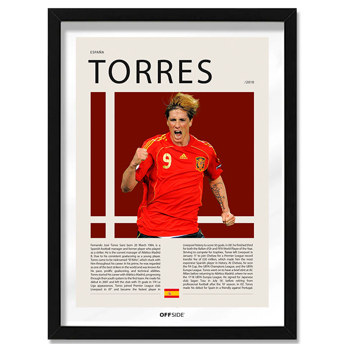 Fernando Torres "El Niño" en España Clasificatorias 2010