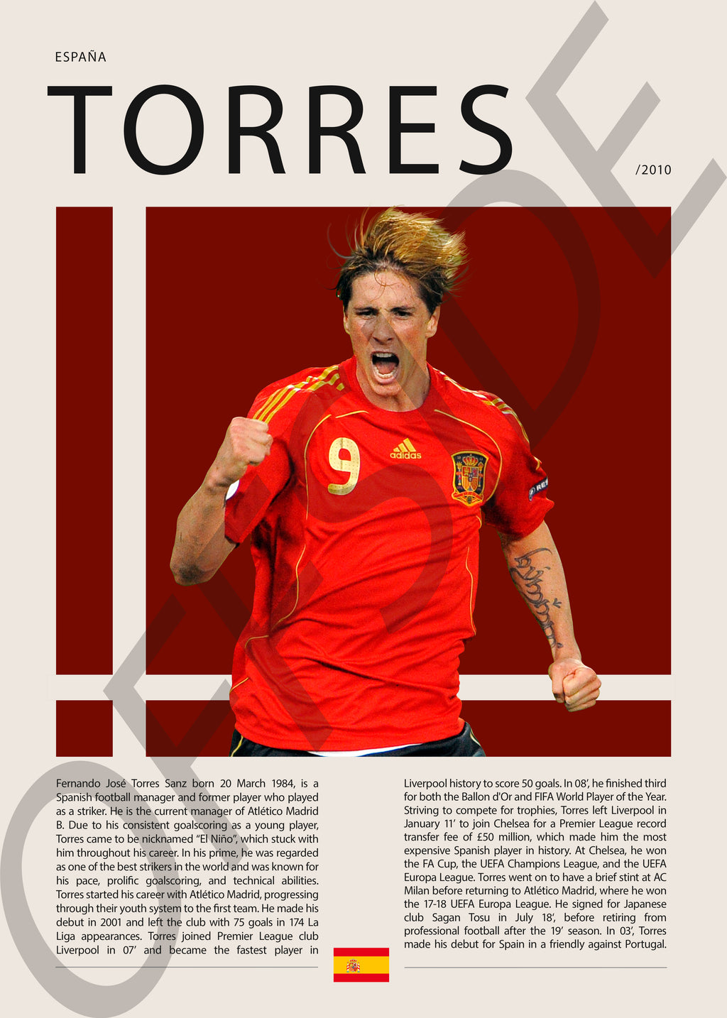 Fernando Torres "El Niño" en España Clasificatorias 2010