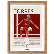 Fernando Torres "El Niño" en Liverpool Temporada 2008