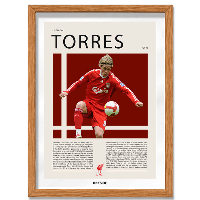 Fernando Torres "El Niño" en Liverpool Temporada 2008