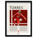 Fernando Torres "El Niño" en Liverpool Temporada 2008