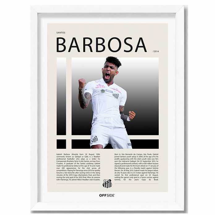 Gabriel Barbosa "Gabigol" en Santos Temporada 2014