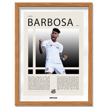Gabriel Barbosa "Gabigol" en Santos Temporada 2014