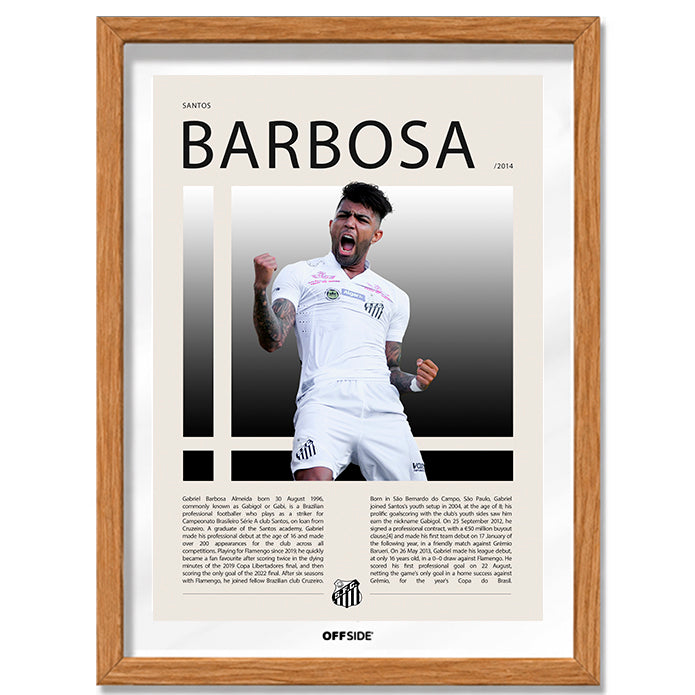 Gabriel Barbosa "Gabigol" en Santos Temporada 2014