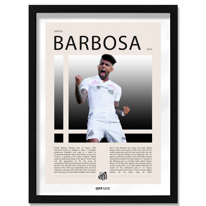 Gabriel Barbosa "Gabigol" en Santos Temporada 2014