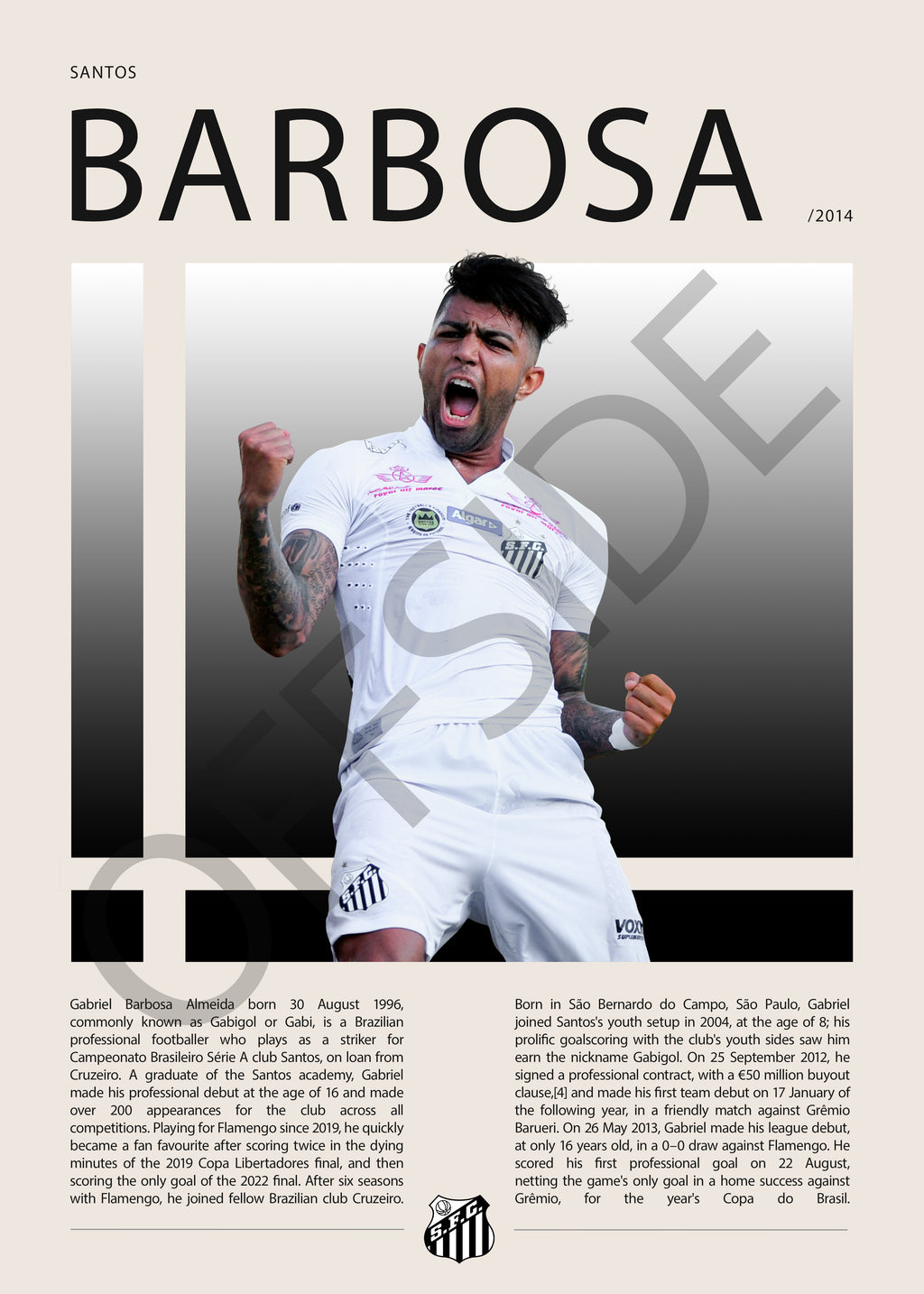 Gabriel Barbosa "Gabigol" en Santos Temporada 2014
