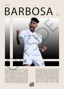 Gabriel Barbosa "Gabigol" en Santos Temporada 2014