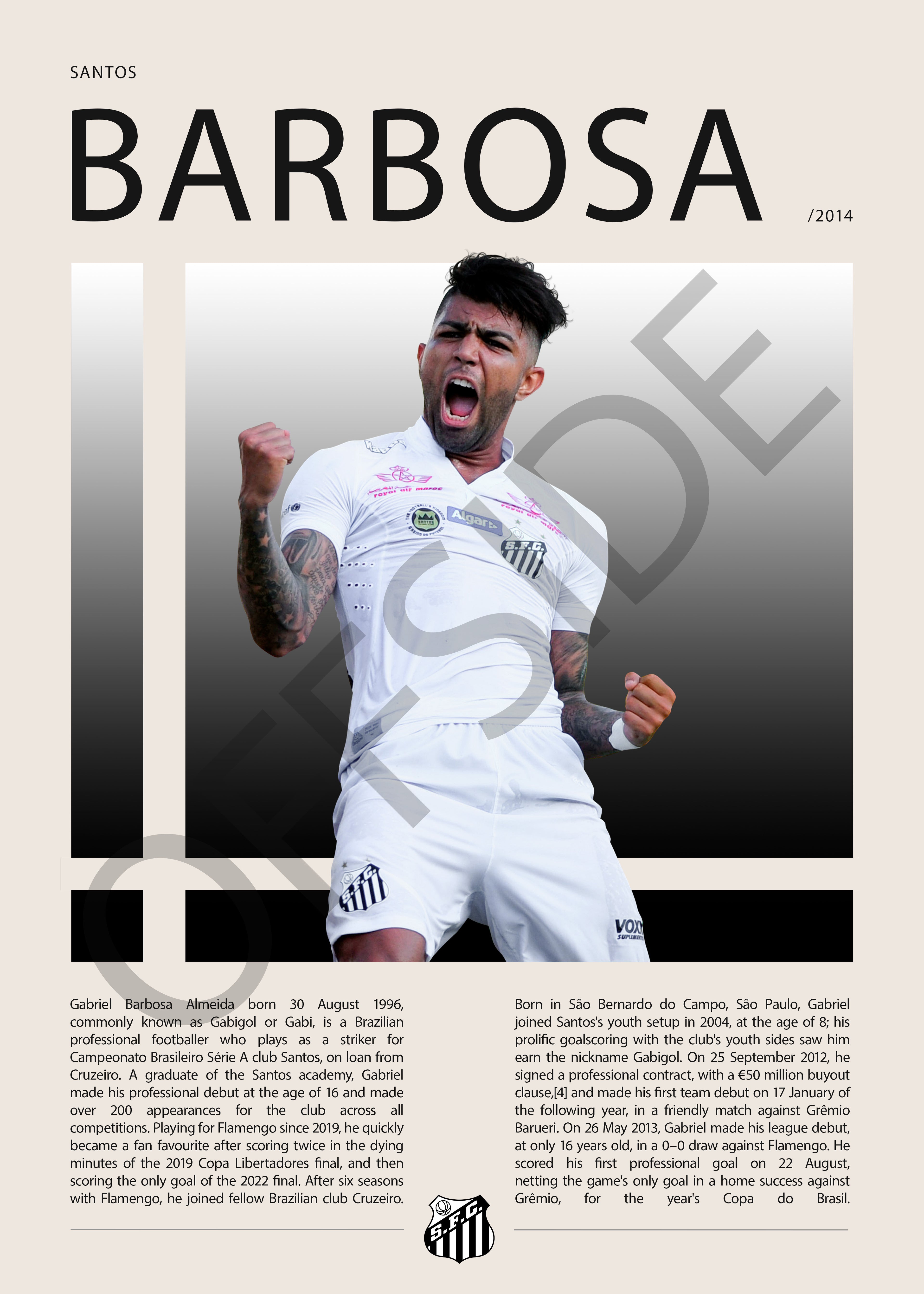 Gabriel Barbosa "Gabigol" en Santos Temporada 2014