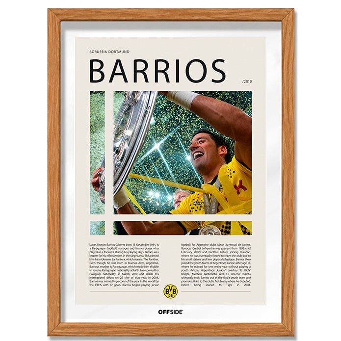 Lucas Barrios "La Pantera" en Borussia Dortmund Temporada 2010