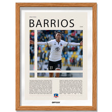 Lucas Barrios "La Pantera" en Colo Colo Temporada 2008
