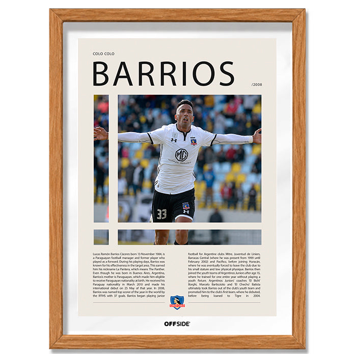 Lucas Barrios "La Pantera" en Colo Colo Temporada 2008