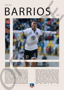 Lucas Barrios "La Pantera" en Colo Colo Temporada 2008