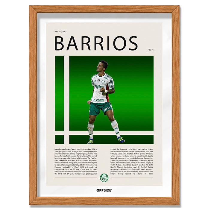 Lucas Barrios "La Pantera" en Palmeiras Temporada 2016