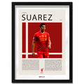 Luis Suarez "El Pistolero" en Liverpool Temporada 2013