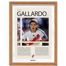 Marcelo Gallardo "El Muñeco" en River Plate Temporada 2010
