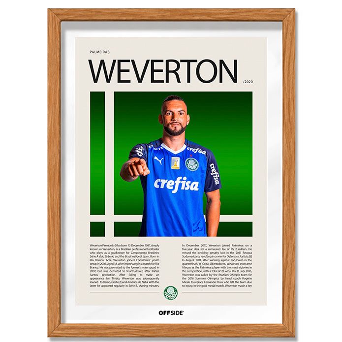 Weverton Pereira Da Silva "Weverton" en Palmeiras Temporada 2017