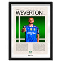 Weverton Pereira Da Silva "Weverton" en Palmeiras Temporada 2017