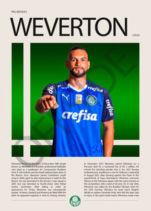 Weverton Pereira Da Silva "Weverton" en Palmeiras Temporada 2017
