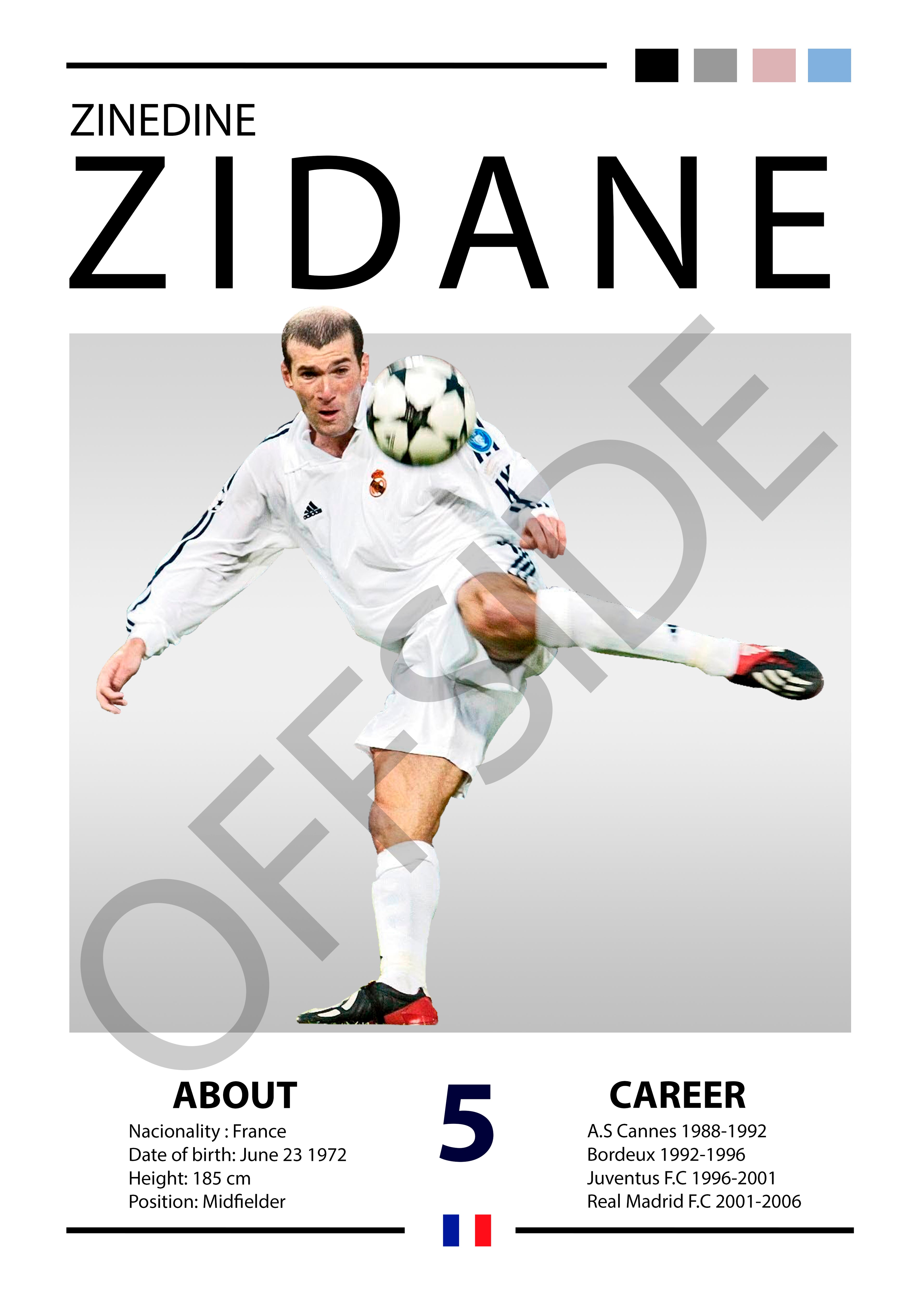 Zinedine Zidane "Zizou" Real Madrid 2002