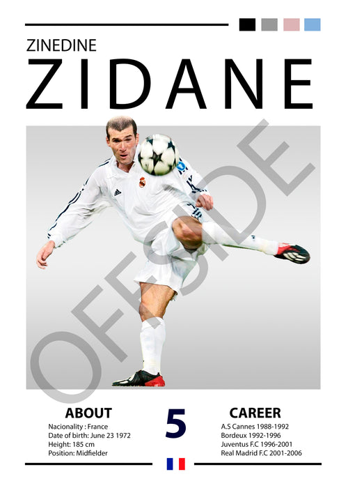 Zinedine Zidane "Zizou" Real Madrid 2002