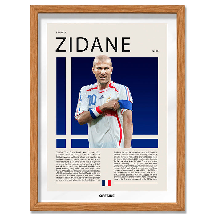 Zinedine Zidane "Zizou" en Francia Clasificatorias 2006