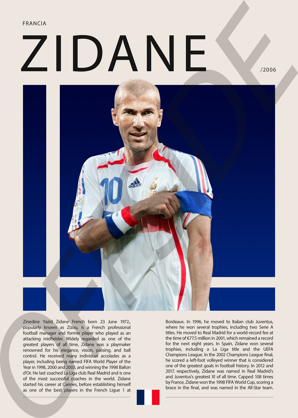 Zinedine Zidane "Zizou" en Francia Clasificatorias 2006