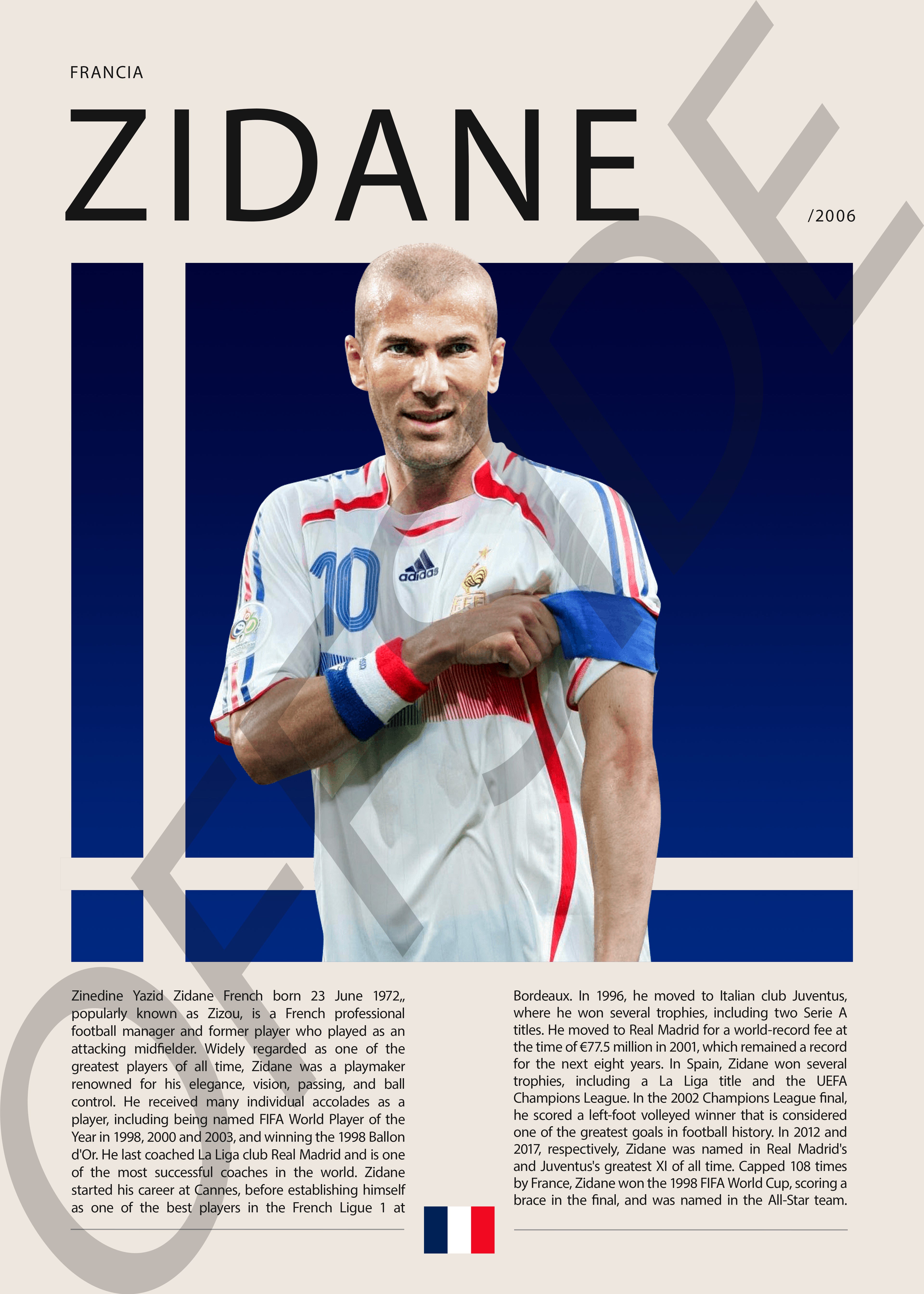 Zinedine Zidane "Zizou" en Francia Clasificatorias 2006