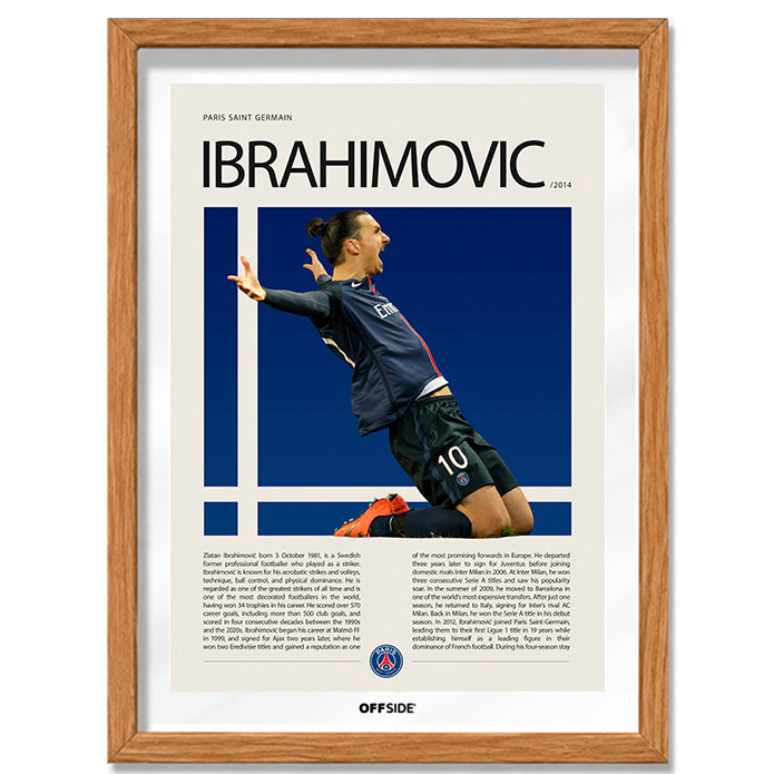 Zlatan Ibrahimović "Ibra" en PSG Temporada 2014