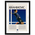 Zlatan Ibrahimović "Ibra" en PSG Temporada 2014