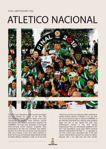 Atlético Nacional Campeón Copa Libertadores 2016 - detalle del diseño
