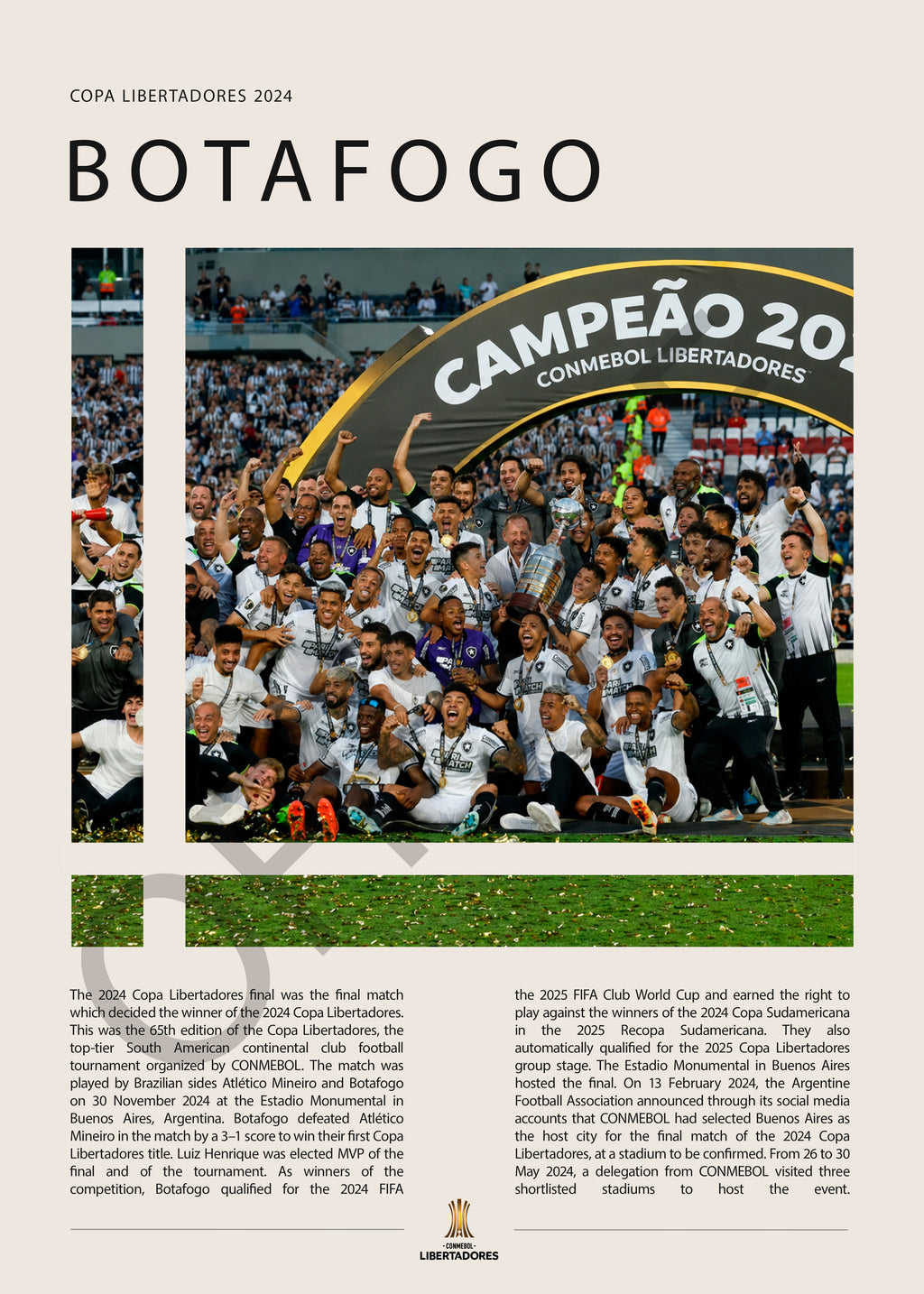Botafogo Campeón Copa Libertadores 2024 - detalle del diseño