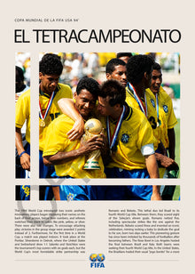 Brasil Tetracampeón Estados Unidos 1994 - detalle del diseño
