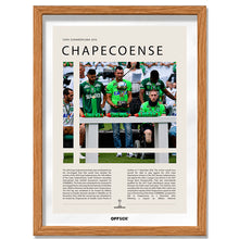 Chapecoense Campeón Copa Sudamericana 2016 - marco madera