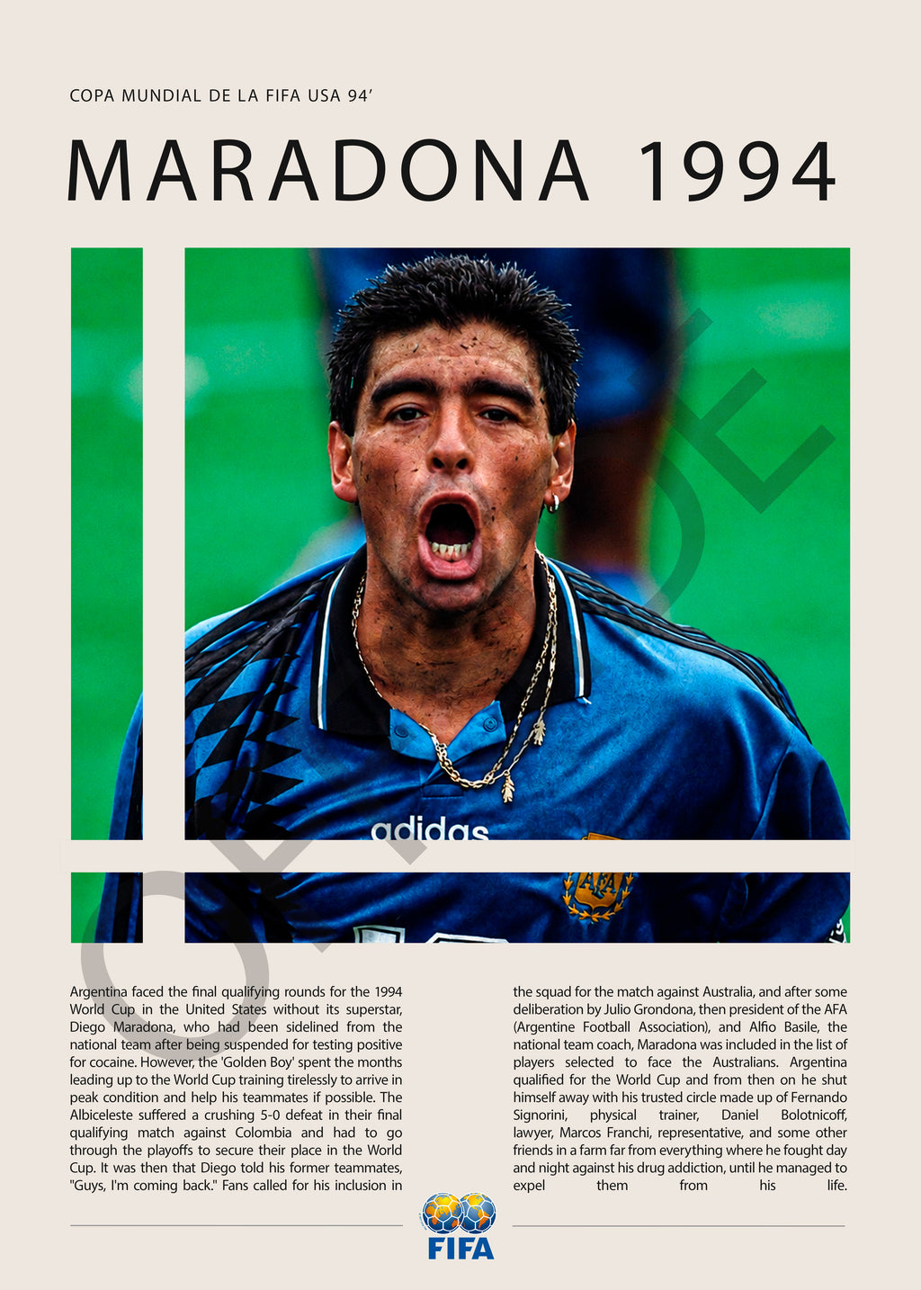Diego Maradona Último Mundial Estados Unidos 1994 - detalle del diseño