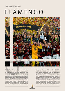 Flamengo Campeón Copa Libertadores 2019 - detalle del diseño