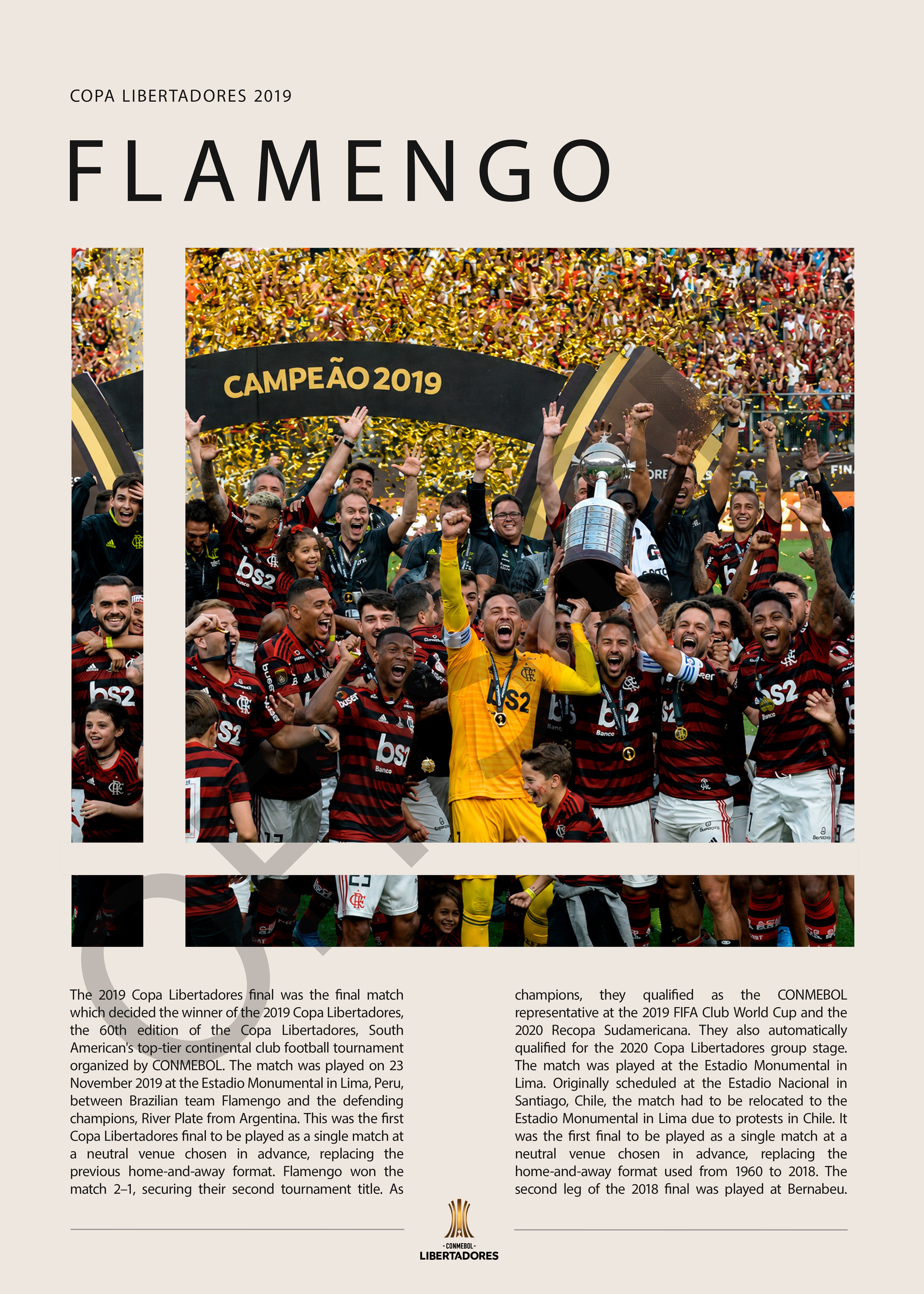 Flamengo Campeón Copa Libertadores 2019 - detalle del diseño